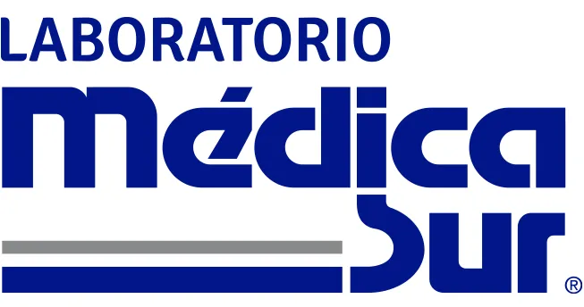 Cliente 10